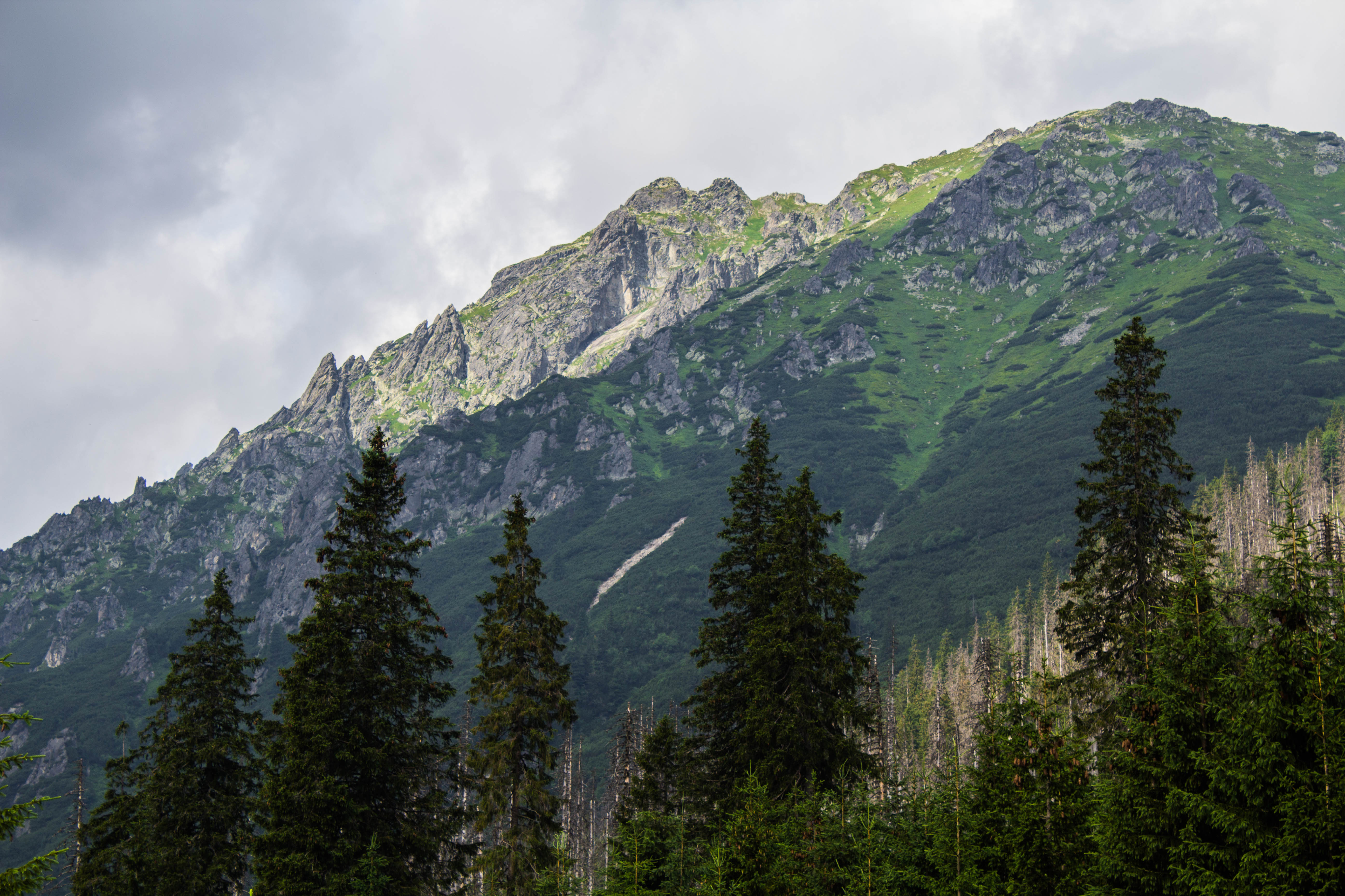 Los montes Tatra forman una cordillera en la frontera de Polonia y Eslovaquia y el sector más alto de los Cárpatos.